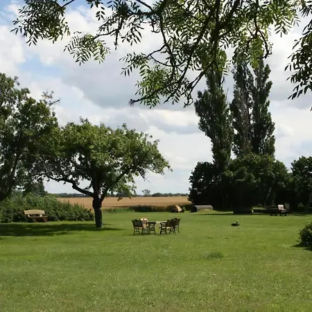 Apartment Moewe In Luessvitz