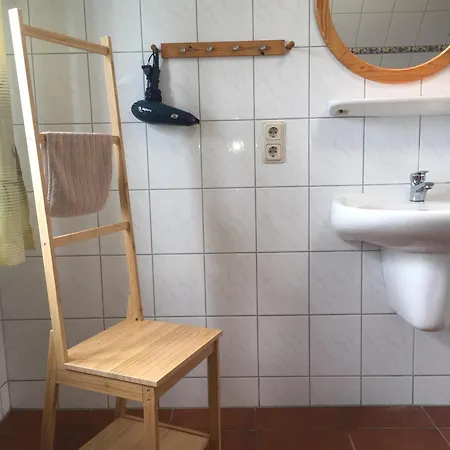 Moewe In Luessvitz *